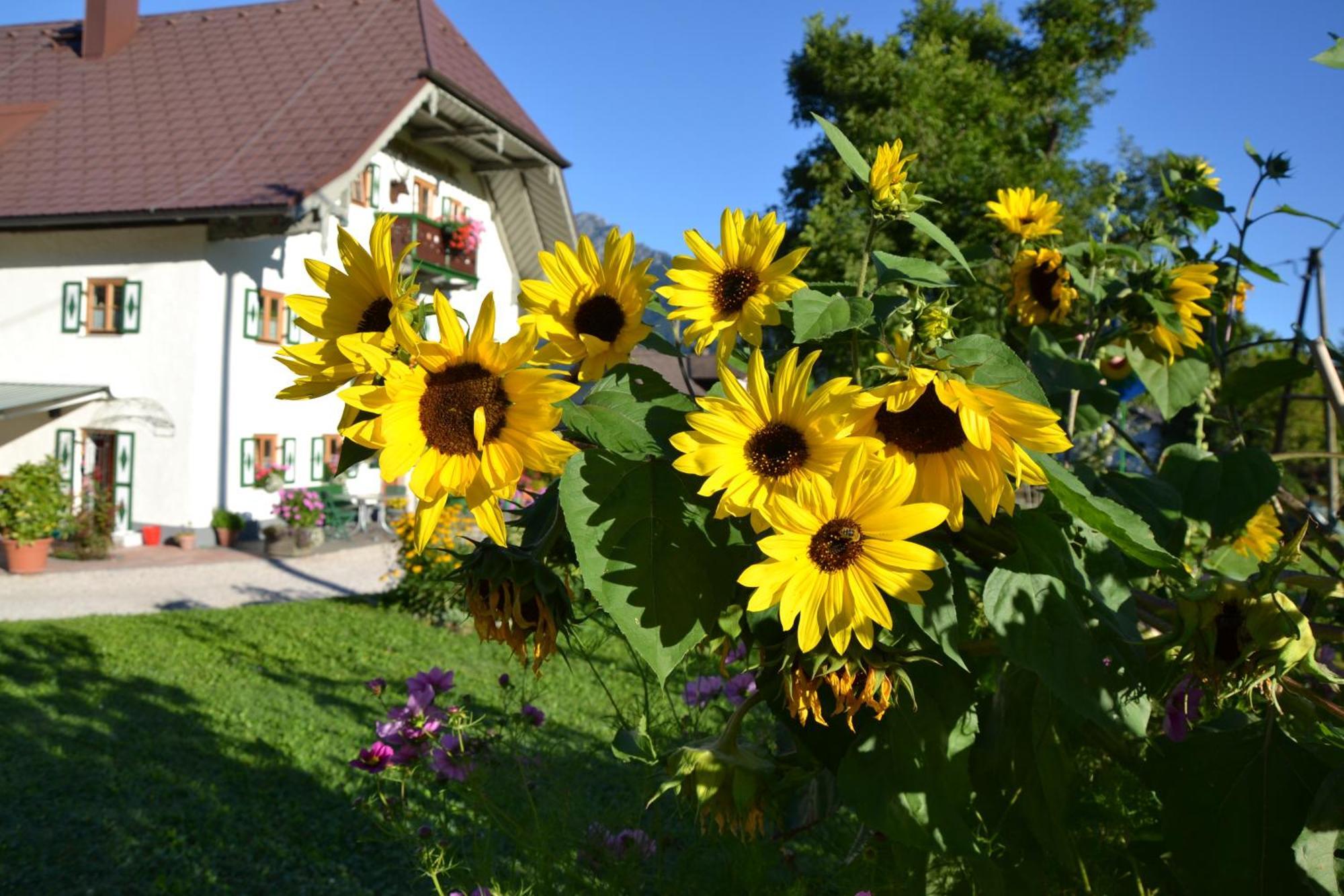 Kerschbaumergut Grossgmain Bagian luar foto